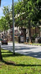 Thomson Road (D20), Detached #476718991